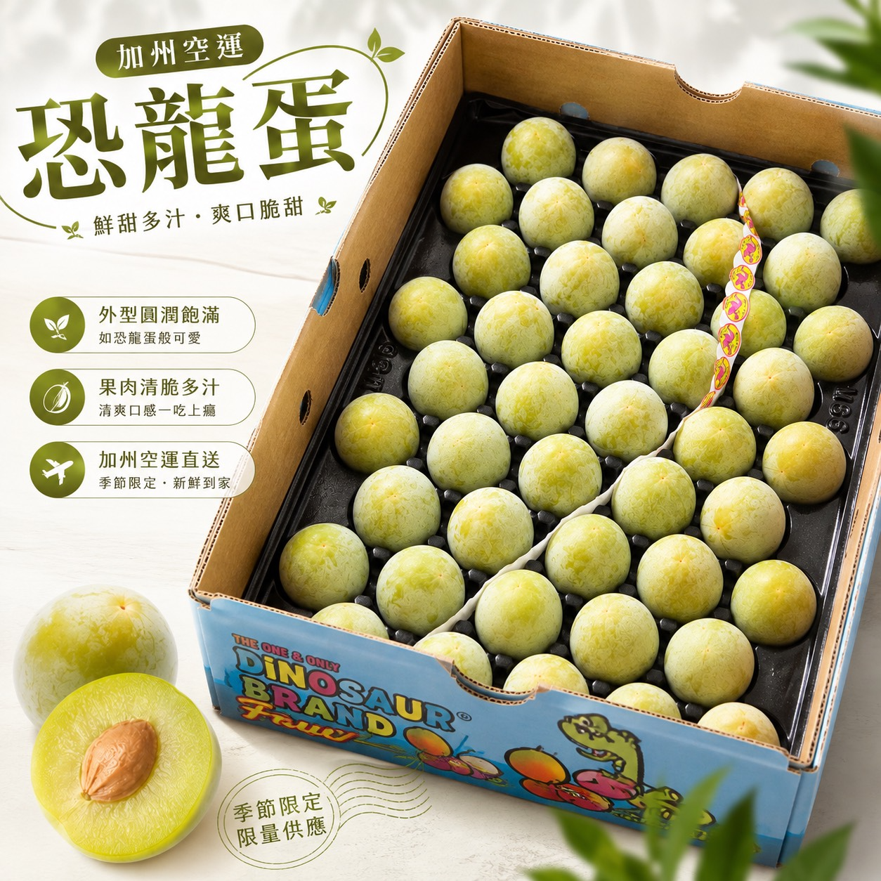 加州空運卡通龍恐龍蛋#361