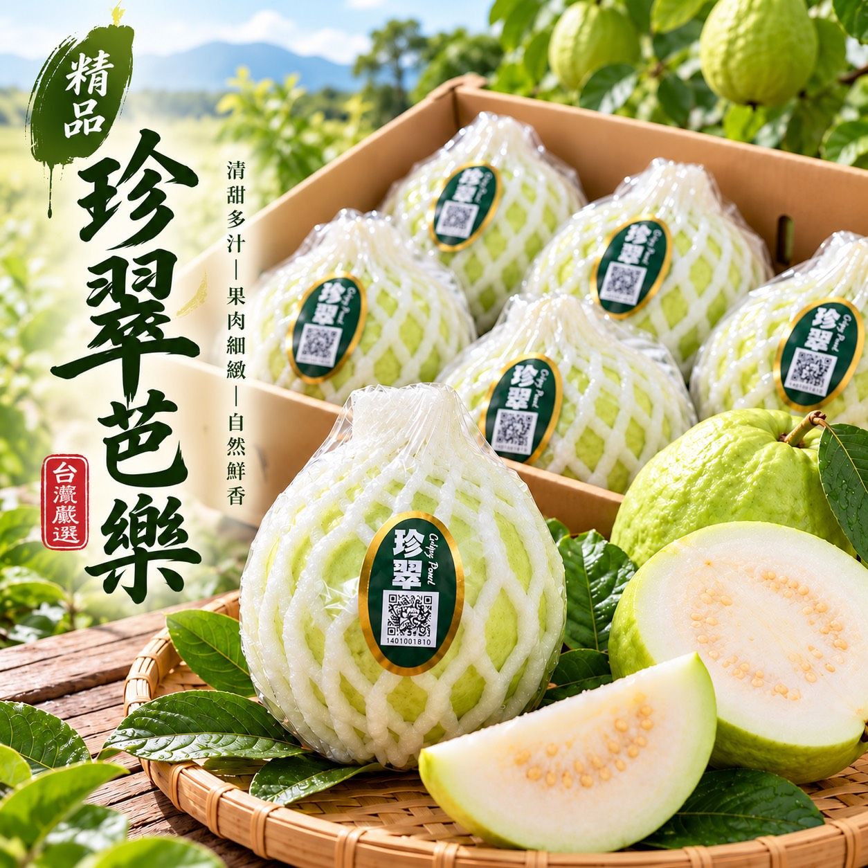 珍翠芭樂1