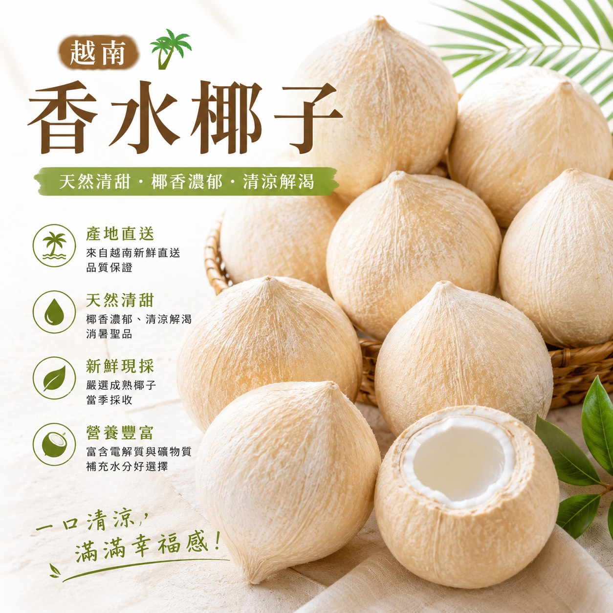 越南香水椰子24A1